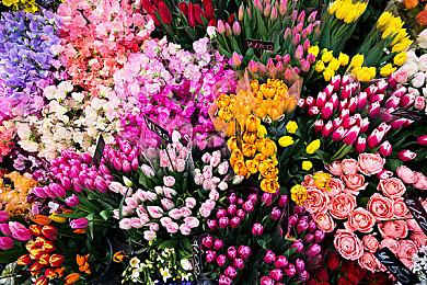 苹果改变立场 允许游戏串流App登陆iOS